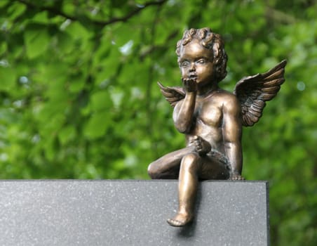 Little Angel