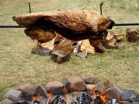 Wild boar roast