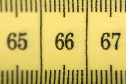 Tape measure