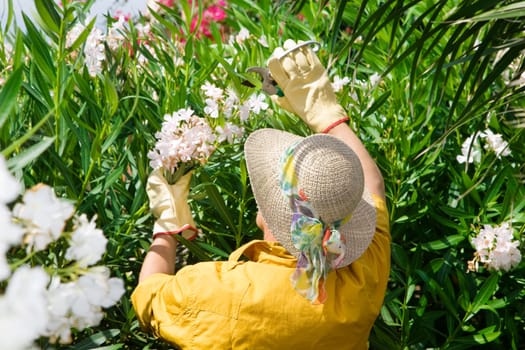gardening