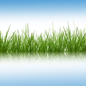 Grass