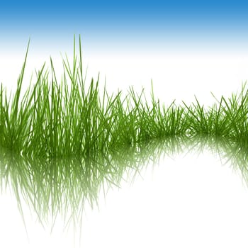 Grass