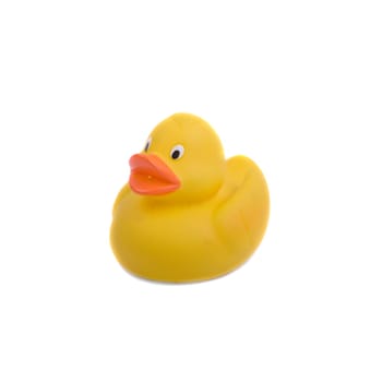 Rubber duck