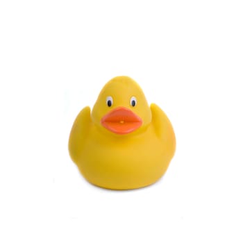 Rubber ducks