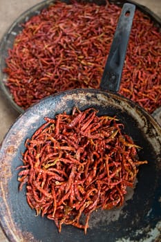 chilli,hot spice