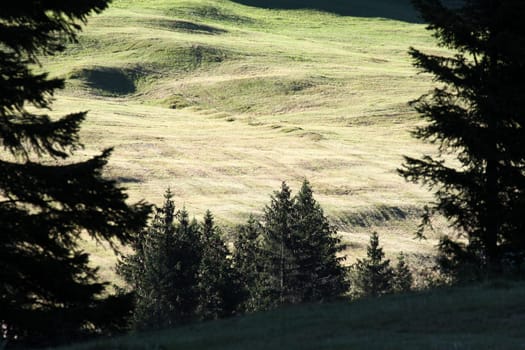 Pure nature