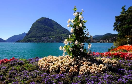 San Salvatore