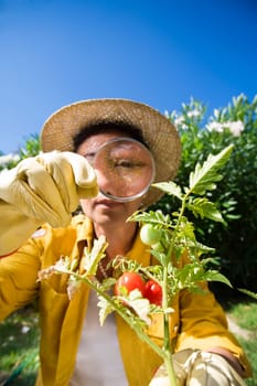 gardening