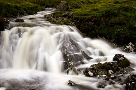 Wild Ireland