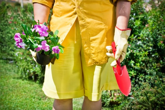gardening