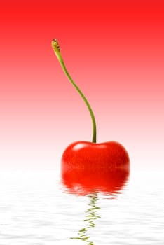 Cherry