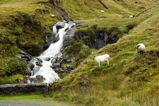 Ireland