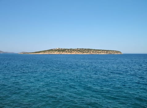 Wild Island