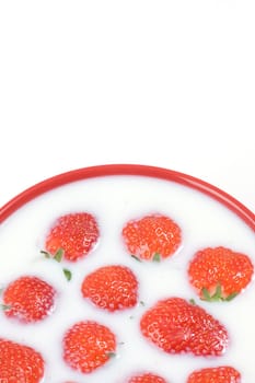 strawberry and milk