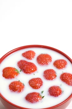 strawberry and milk