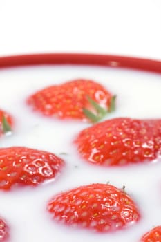 strawberry and milk