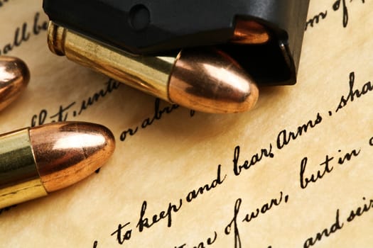 right to keep and bear arms