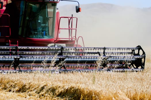 combine harvester on field