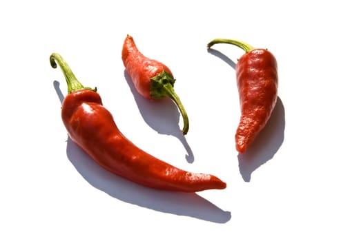 Chili peppers,chili peppers