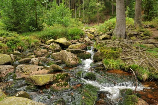 Waldbach in the Upper Harz.
