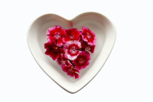 Heart with carnations