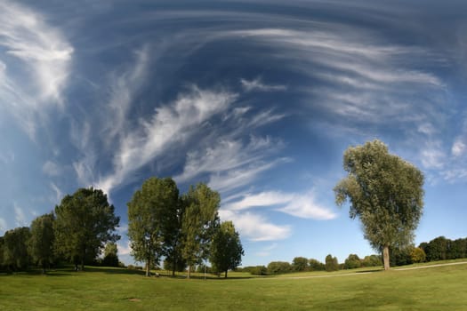 Landscape - Meadow,Trees,Cirrus Clouds