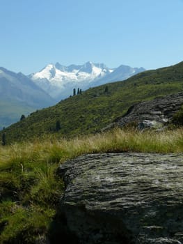 Reichenspitz Group