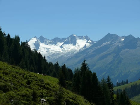Reichenspitz Group