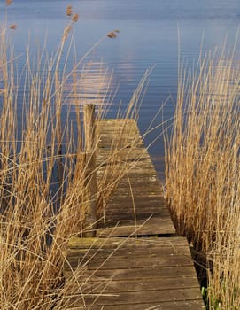 Evening at the lake