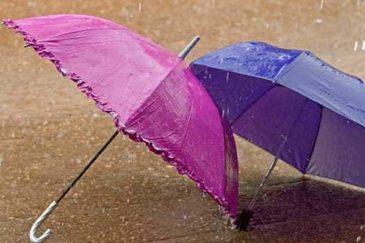 Umbrella in case of heavy rainy weather