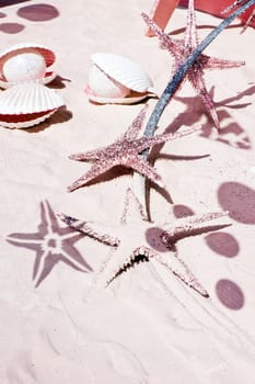 Marine Life