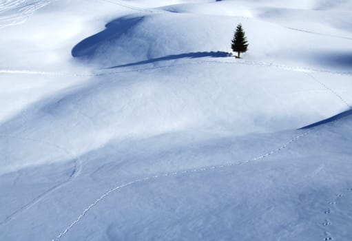 Winter