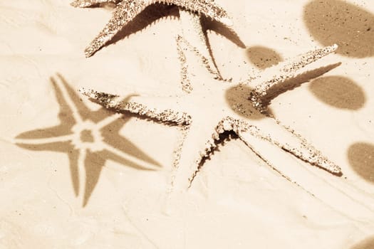 Starfish