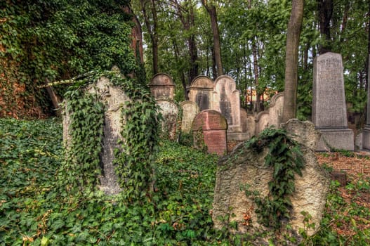 Old Jewish Cemetery - Czech republic