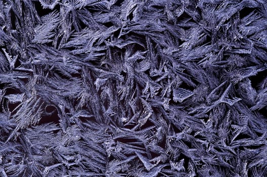 frost flower