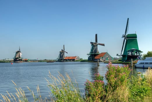 Windmills in Zaanse Schans