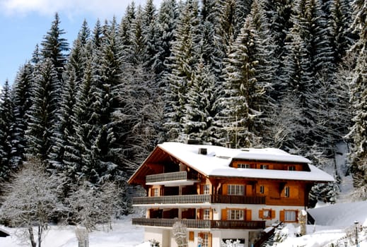 Chalet in Switzerland (Villars)