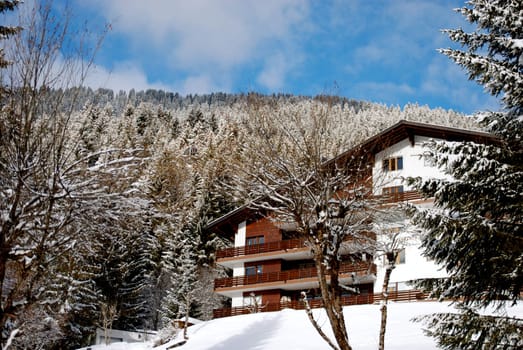 Chalet in Switzerland (Villars)