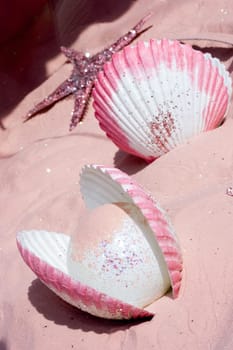 Shells And Starfish