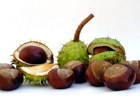 Chestnuts