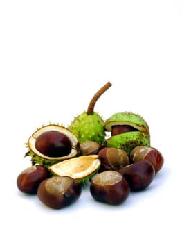 Chestnuts
