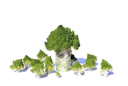 Romanesco