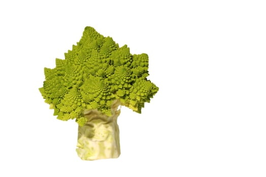Romanesco