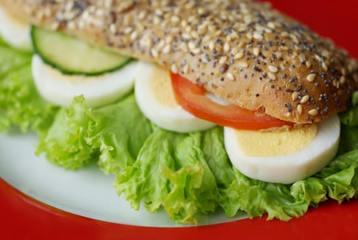 Wholemeal sandwich