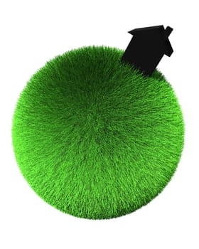 black house on sphere of grass