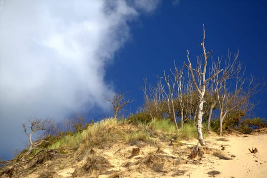 on top of the dune