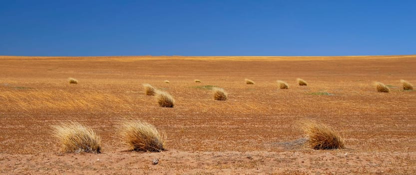 Australian Wasteland