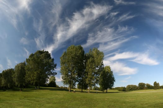 Wide angle image of landscape with meadow