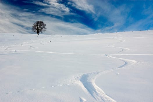 Snow trail