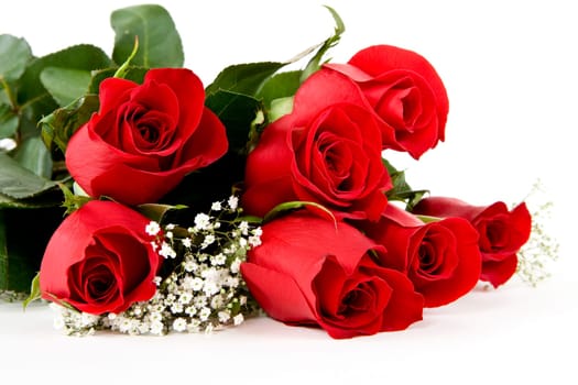 Red Rose